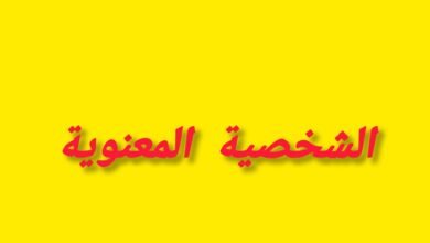 مفهوم الشخصية المعنوية والنتائج المترتبة عليها