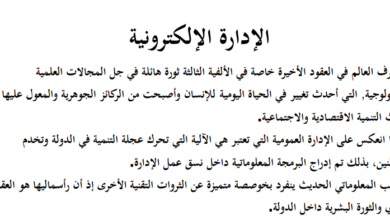 الإدارة الإلكترونية 2030