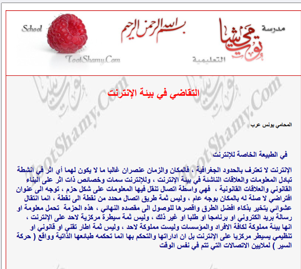 التقاضي في بيئة الإنترنت (للمحامي يونس عرب). 13